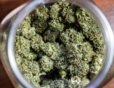 marijuana possession lawyer in San Antonio